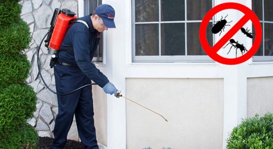 Şarkikaraağaç Dezenfeksiyon böcek ilaçlama ve haşere kontrolü — ilaclama-tr.com
